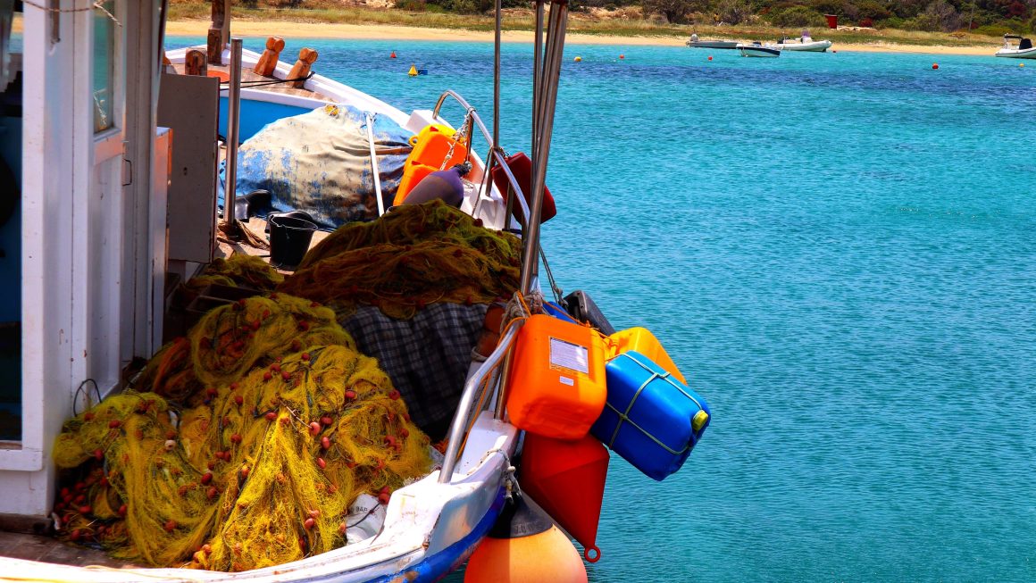 Cum se prepară nada pentru pescuit la vară