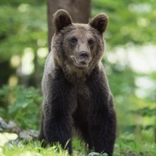 Ce criterii contează când alegi servicii de închirieri auto în Piatra Neamț